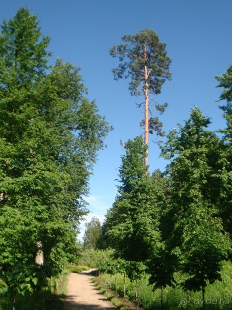 В Михайловское по Пушкинским местам