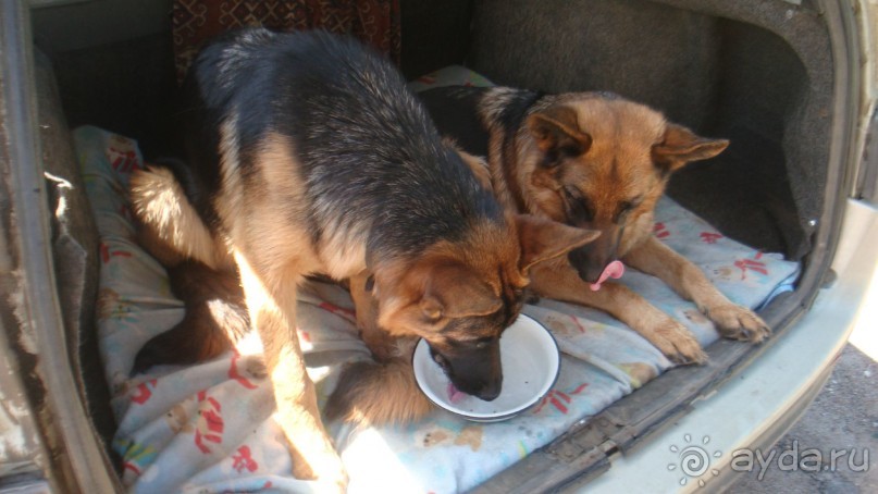 В Михайловское по Пушкинским местам