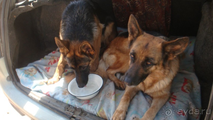 В Михайловское по Пушкинским местам