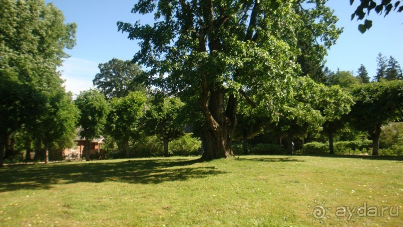 В Михайловское по Пушкинским местам