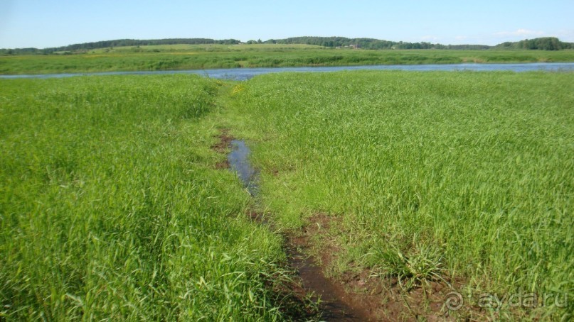 В Михайловское по Пушкинским местам