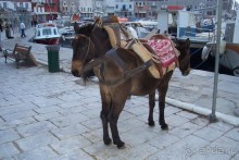 Альбом отзыва "Греция часть 4: Однодневный морской круиз к Сароническим островам - Идра"