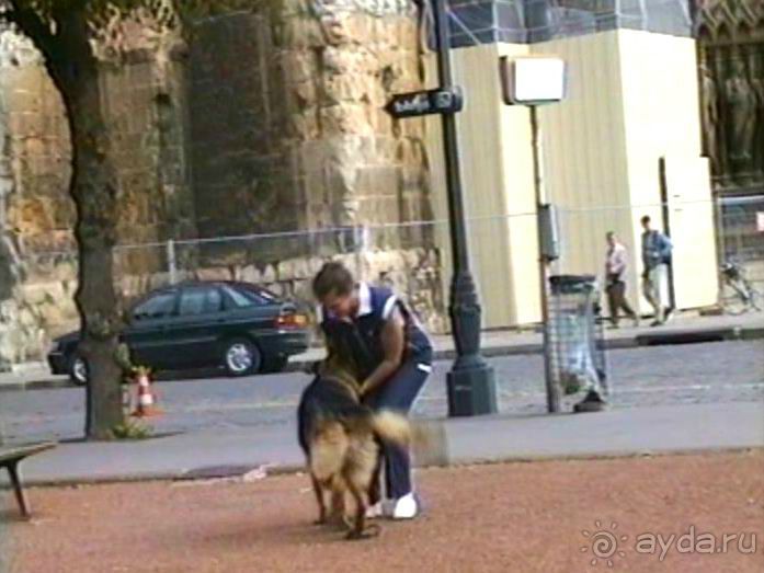 На пути из Инделхаузена в Париж с остановкой в Реймсе