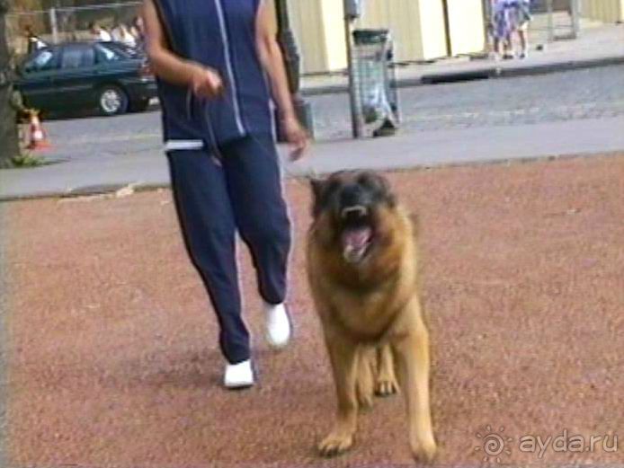 На пути из Инделхаузена в Париж с остановкой в Реймсе