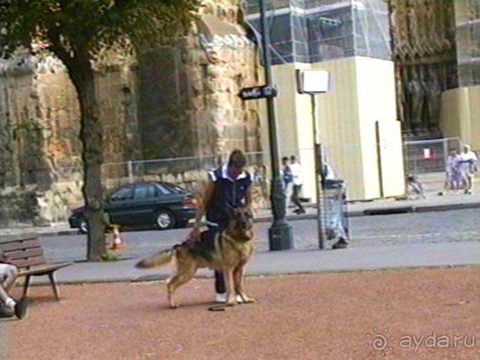 На пути из Инделхаузена в Париж с остановкой в Реймсе