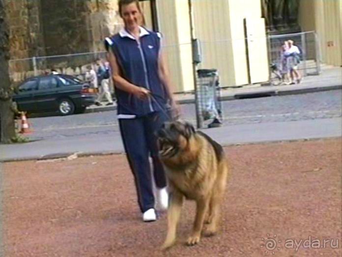 На пути из Инделхаузена в Париж с остановкой в Реймсе