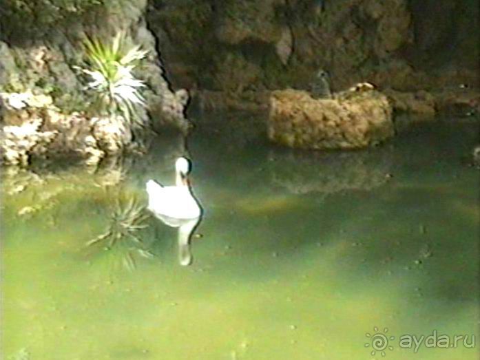 Авиньон, Оранж и Пон дю Гар