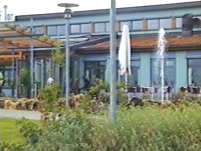 Впервые на машине в Германию с овчаркой Саксония и Дрезден