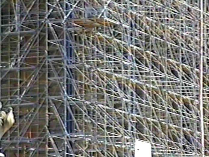 Впервые на машине в Германию с овчаркой Саксония и Дрезден