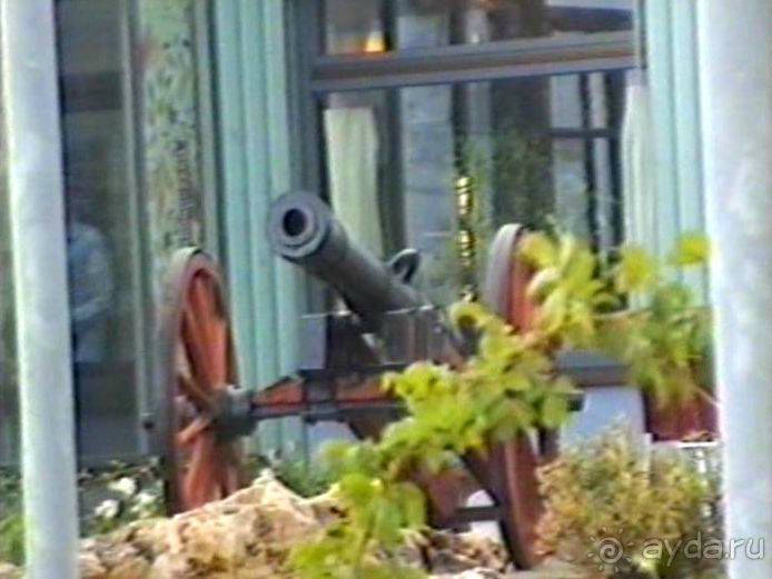 Впервые на машине в Германию с овчаркой Саксония и Дрезден