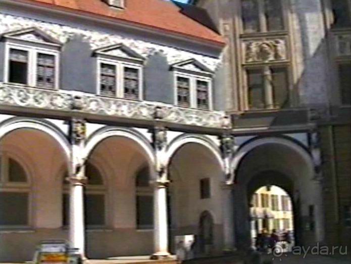 Впервые на машине в Германию с овчаркой Саксония и Дрезден