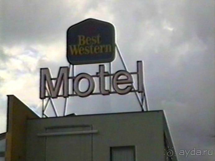 Впервые на машине в Германию с овчаркой Саксония и Дрезден