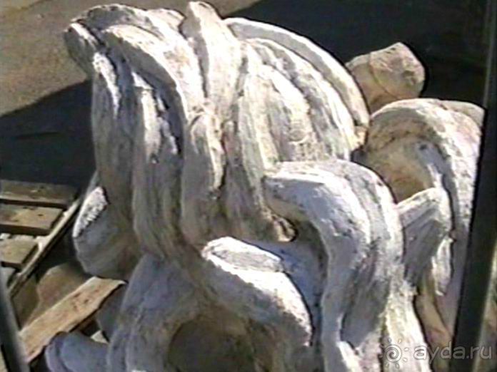 Впервые на машине в Германию с овчаркой Саксония и Дрезден