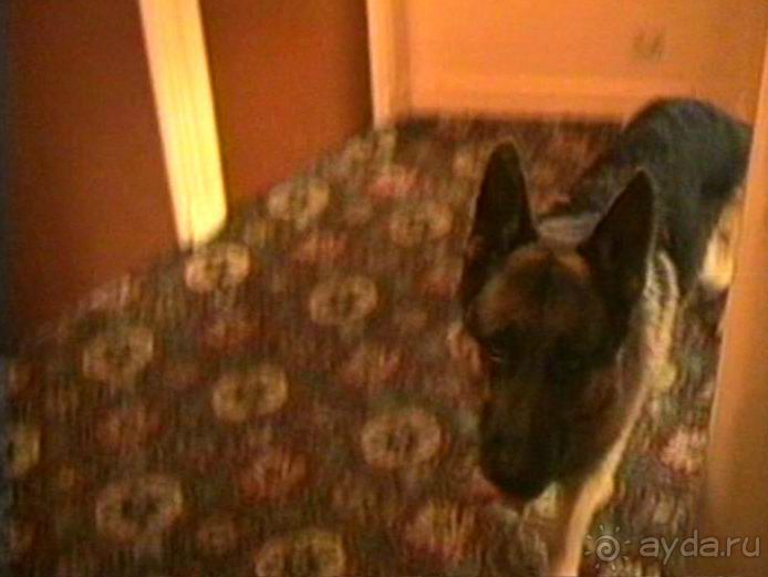 Наша машина доехала до Парижа! Первый экскурсионный день.