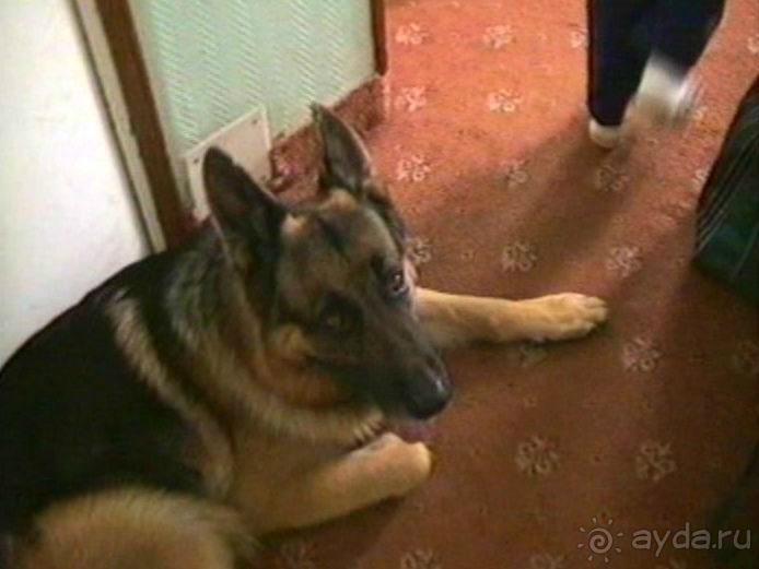 Наша машина доехала до Парижа! Первый экскурсионный день.