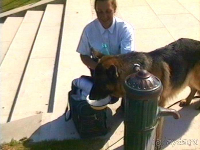 Наша машина доехала до Парижа! Первый экскурсионный день.