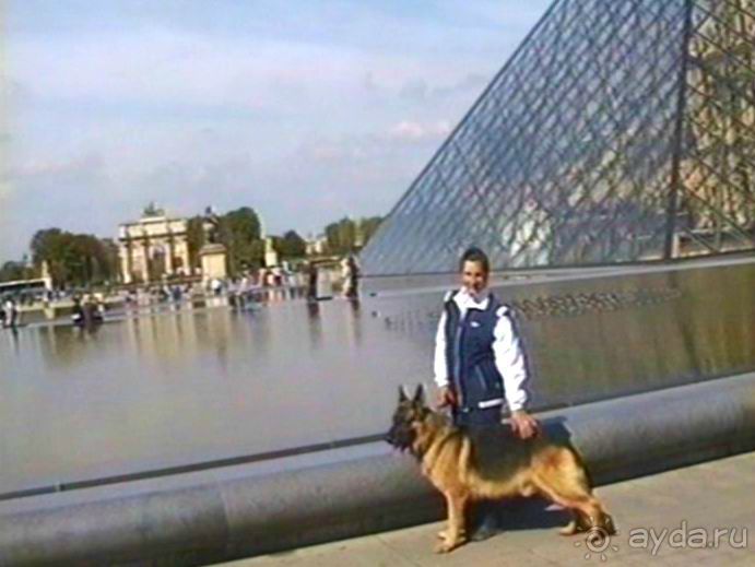 Наша машина доехала до Парижа! Первый экскурсионный день.