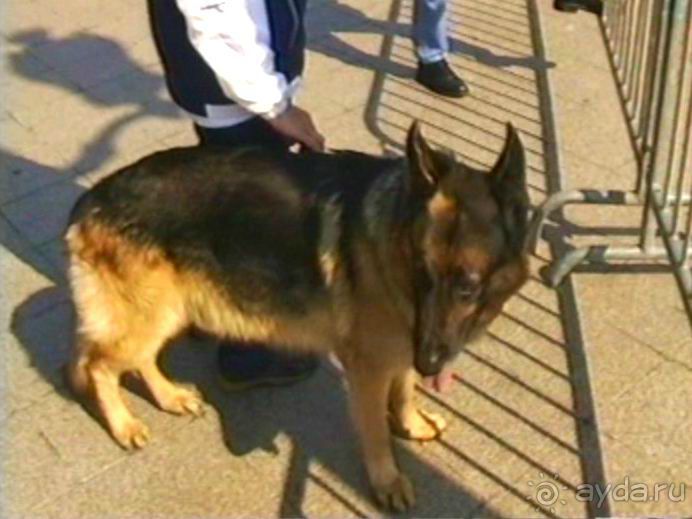 Наша машина доехала до Парижа! Первый экскурсионный день.