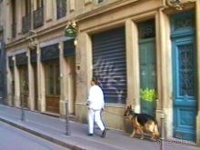 Поездка в Германию на автомобиле с немецкой овчаркой. Часть 7. Страсбург.