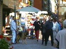 Поездка в Германию на автомобиле с немецкой овчаркой. Часть 7. Страсбург.