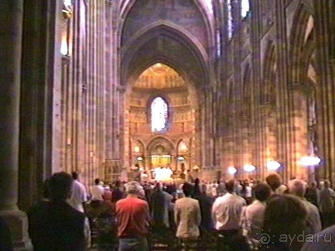 Поездка в Германию на автомобиле с немецкой овчаркой. Часть 7. Страсбург.