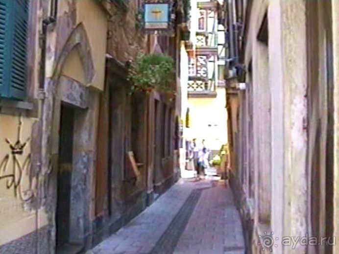 Поездка в Германию на автомобиле с немецкой овчаркой. Часть 7. Страсбург.