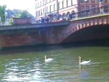 Поездка в Германию на автомобиле с немецкой овчаркой. Часть 7. Страсбург.