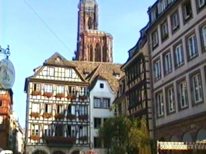 Поездка в Германию на автомобиле с немецкой овчаркой. Часть 7. Страсбург.