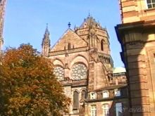 Поездка в Германию на автомобиле с немецкой овчаркой. Часть 7. Страсбург.