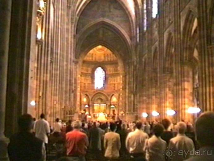 Поездка в Германию на автомобиле с немецкой овчаркой. Часть 7. Страсбург.