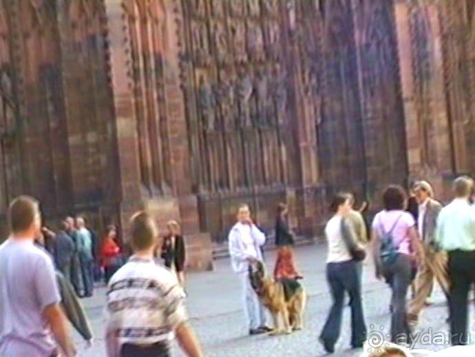 Поездка в Германию на автомобиле с немецкой овчаркой. Часть 7. Страсбург.