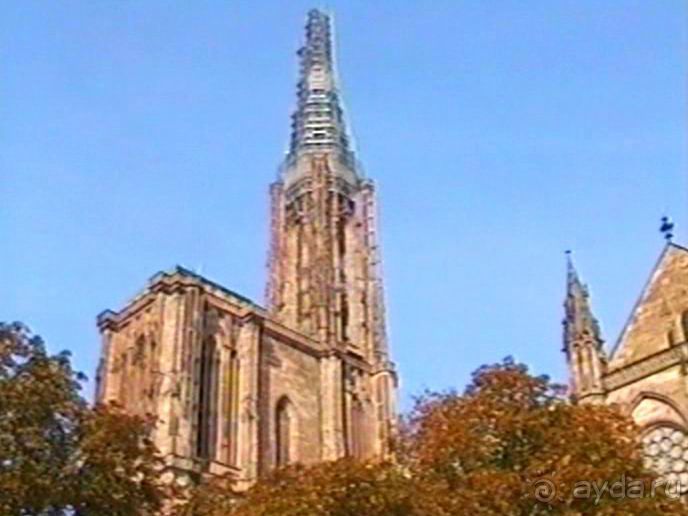 Поездка в Германию на автомобиле с немецкой овчаркой. Часть 7. Страсбург.