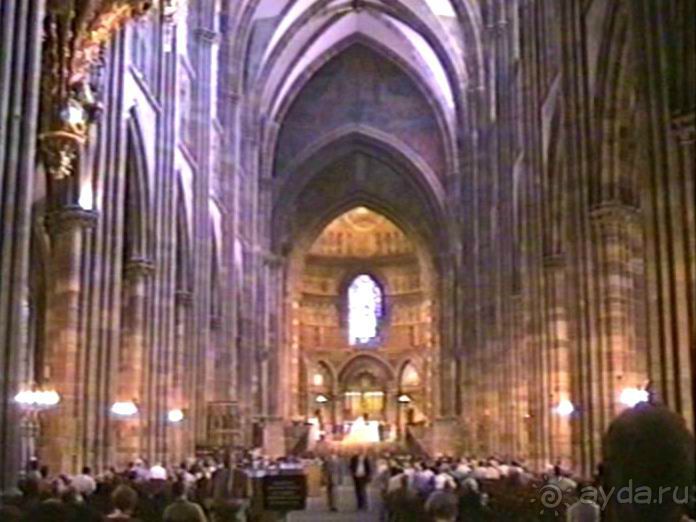 Поездка в Германию на автомобиле с немецкой овчаркой. Часть 7. Страсбург.