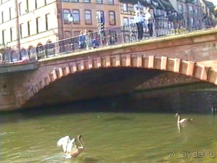 Поездка в Германию на автомобиле с немецкой овчаркой. Часть 7. Страсбург.