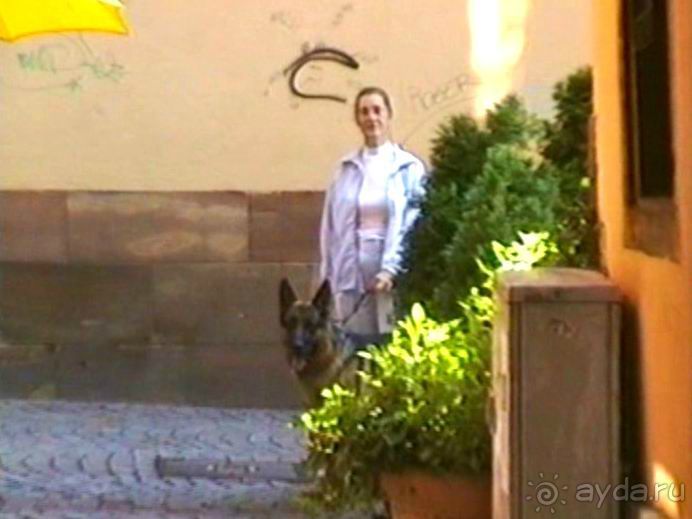 Поездка в Германию на автомобиле с немецкой овчаркой. Часть 7. Страсбург.