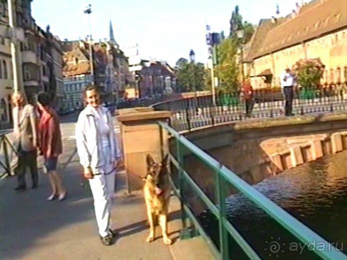 Поездка в Германию на автомобиле с немецкой овчаркой. Часть 7. Страсбург.