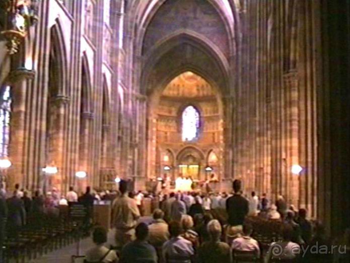 Поездка в Германию на автомобиле с немецкой овчаркой. Часть 7. Страсбург.