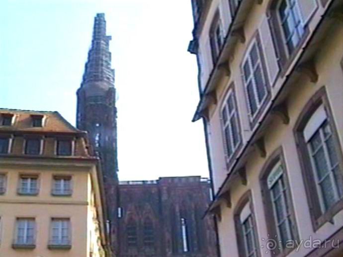 Поездка в Германию на автомобиле с немецкой овчаркой. Часть 7. Страсбург.