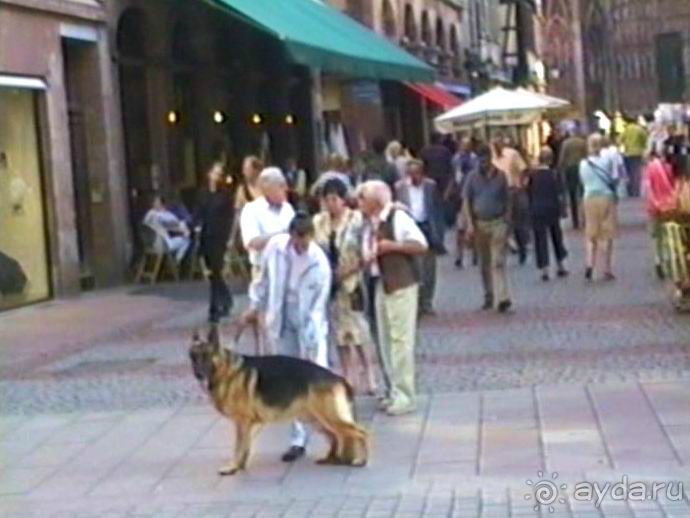 Поездка в Германию на автомобиле с немецкой овчаркой. Часть 7. Страсбург.