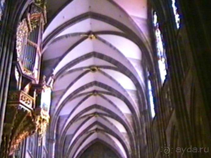 Поездка в Германию на автомобиле с немецкой овчаркой. Часть 7. Страсбург.