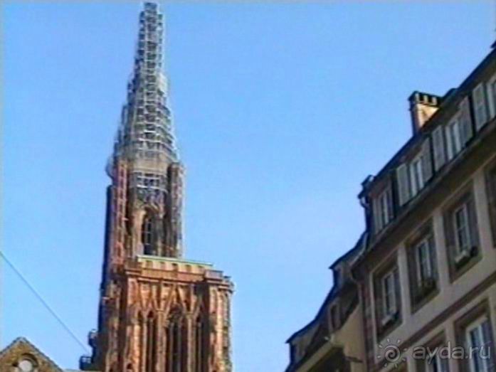 Поездка в Германию на автомобиле с немецкой овчаркой. Часть 7. Страсбург.