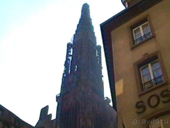 Поездка в Германию на автомобиле с немецкой овчаркой. Часть 7. Страсбург.