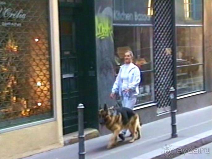 Поездка в Германию на автомобиле с немецкой овчаркой. Часть 7. Страсбург.