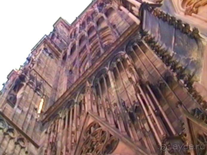 Поездка в Германию на автомобиле с немецкой овчаркой. Часть 7. Страсбург.