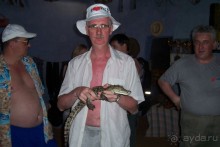 Египет часть 8: Асуан: экскурсия в Ботанический сад на острове Китченера и Нубийскую деревню