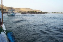 Египет часть 8: Асуан: экскурсия в Ботанический сад на острове Китченера и Нубийскую деревню