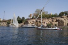 Египет часть 8: Асуан: экскурсия в Ботанический сад на острове Китченера и Нубийскую деревню