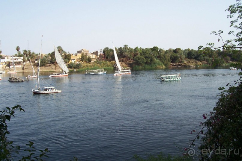 Египет часть 8: Асуан: экскурсия в Ботанический сад на острове Китченера и Нубийскую деревню