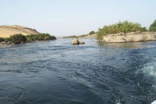 Альбом отзыва "Египет часть 8: Асуан: экскурсия в Ботанический сад на острове Китченера и Нубийскую деревню"