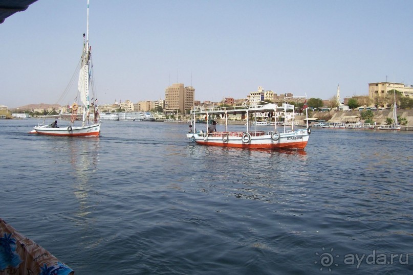 Египет часть 8: Асуан: экскурсия в Ботанический сад на острове Китченера и Нубийскую деревню